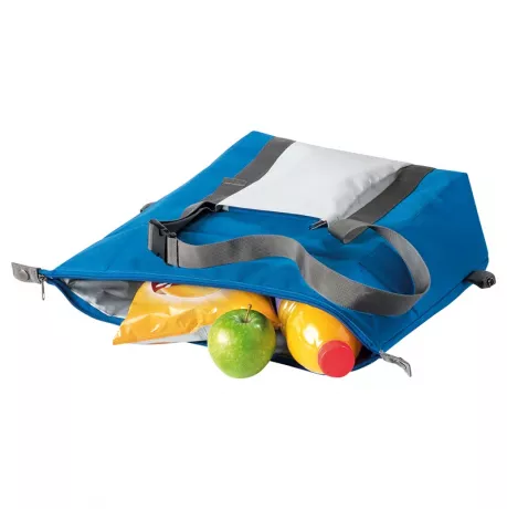 Cooler Bolsa Térmica Box & Tote