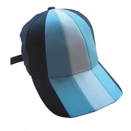Foto de Gorra Argentina Premium